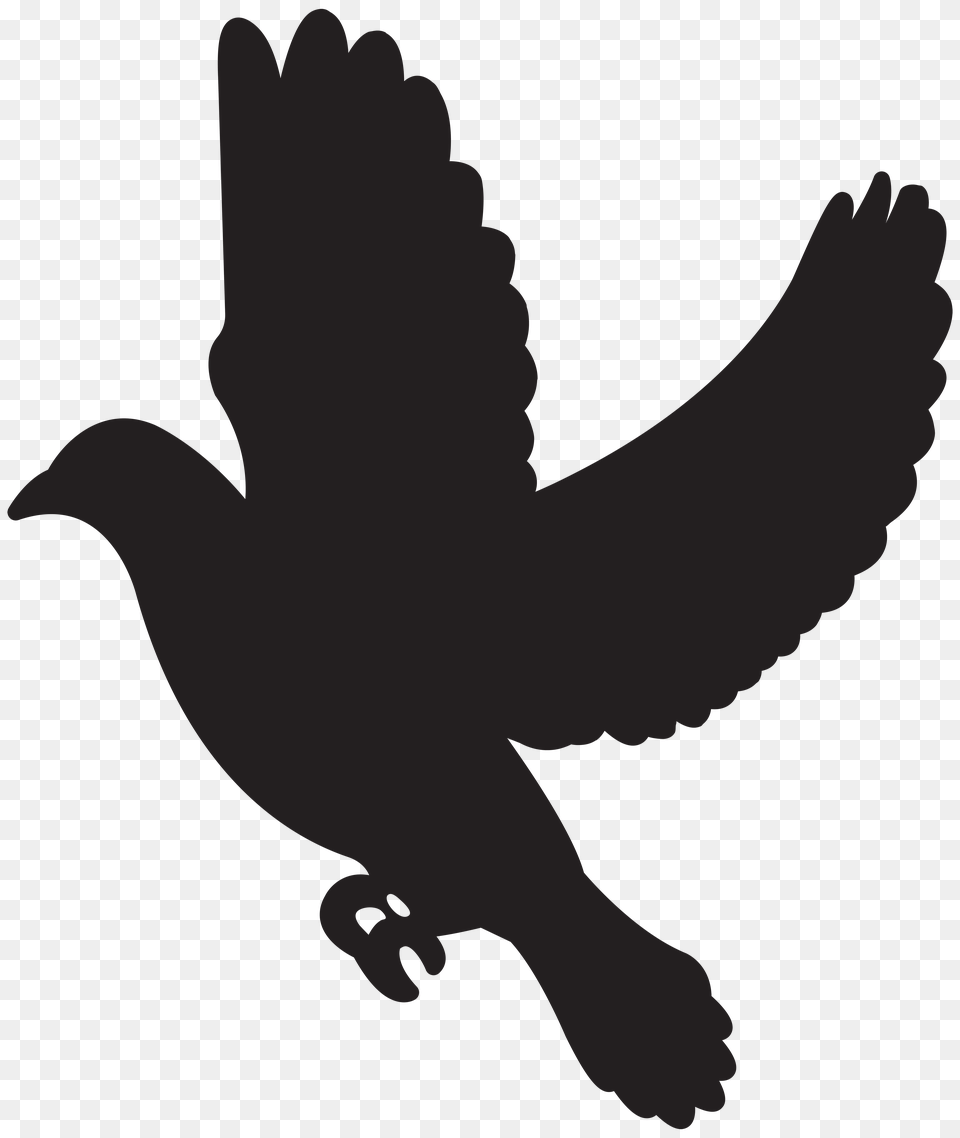 Flying Dove Silhouette Clip, Leaf, Plant, Lighting Png