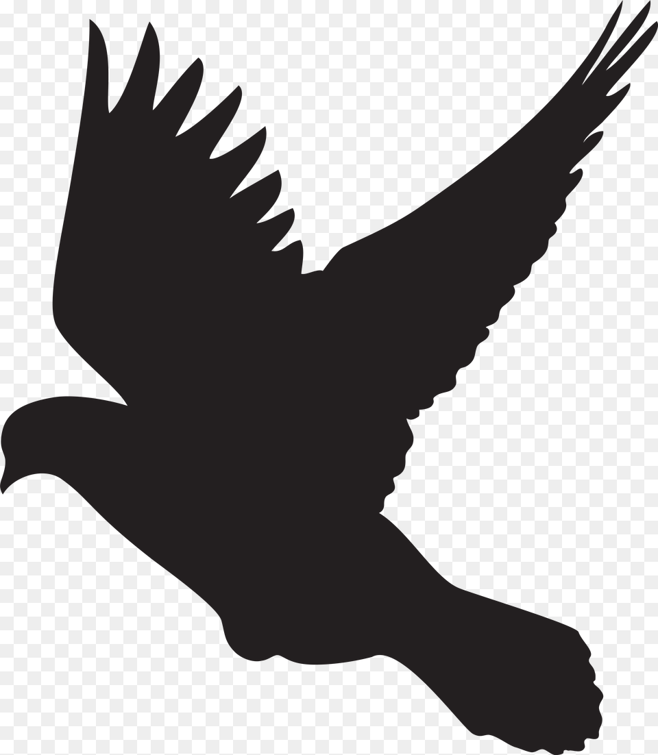 Flying Dove Silhouette Clip Artu200b Gallery Yopriceville, Baby, Person, Animal, Bird Free Png Download