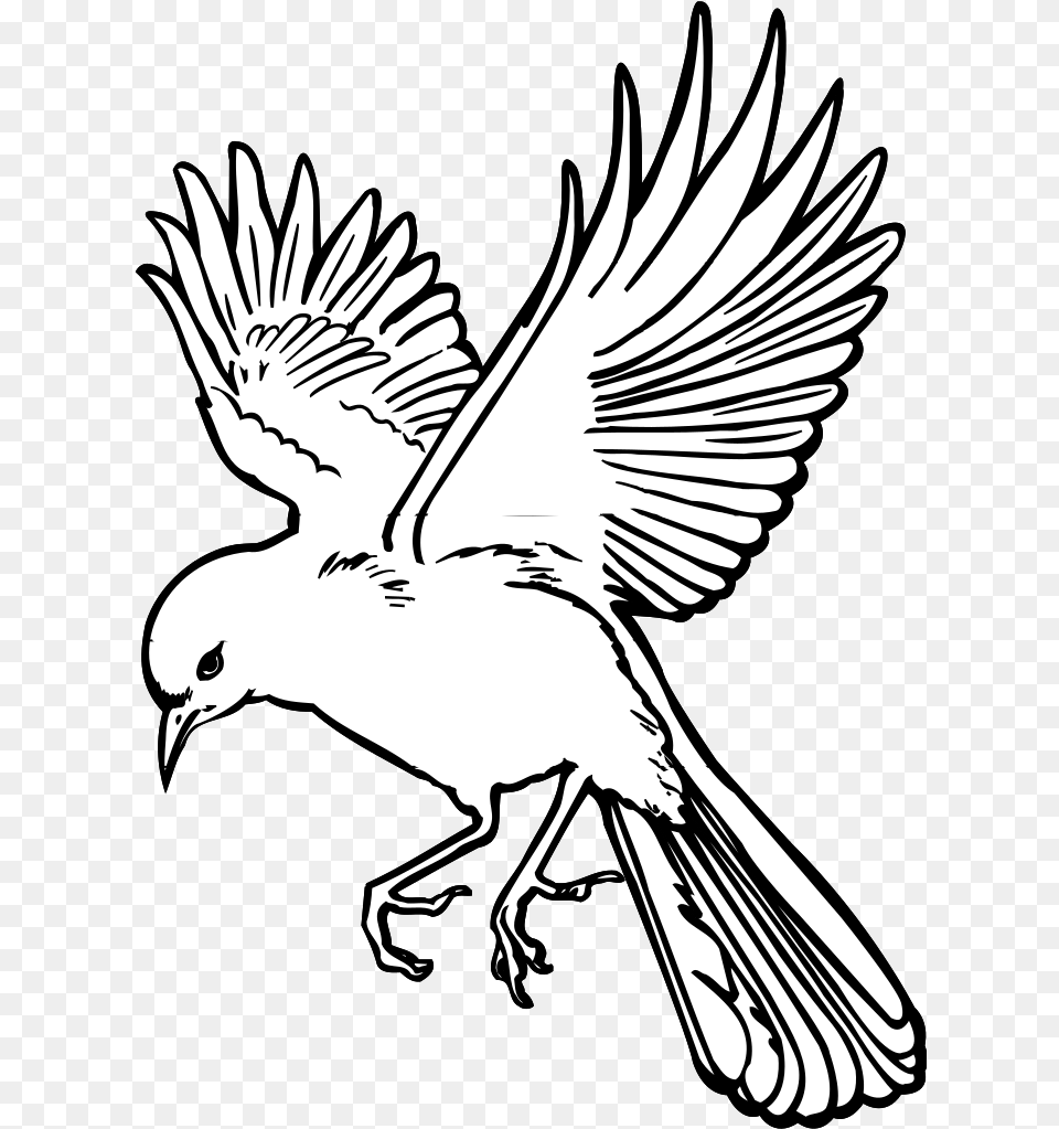 Flying Dove Svg Clip Art For Web Flying Bird Outline, Stencil, Person, Animal Png