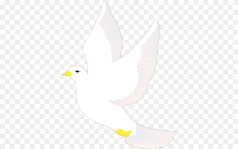 Flying Dove Svg Clip Art For Web White Bird Vector, Animal, Pigeon Free Png Download