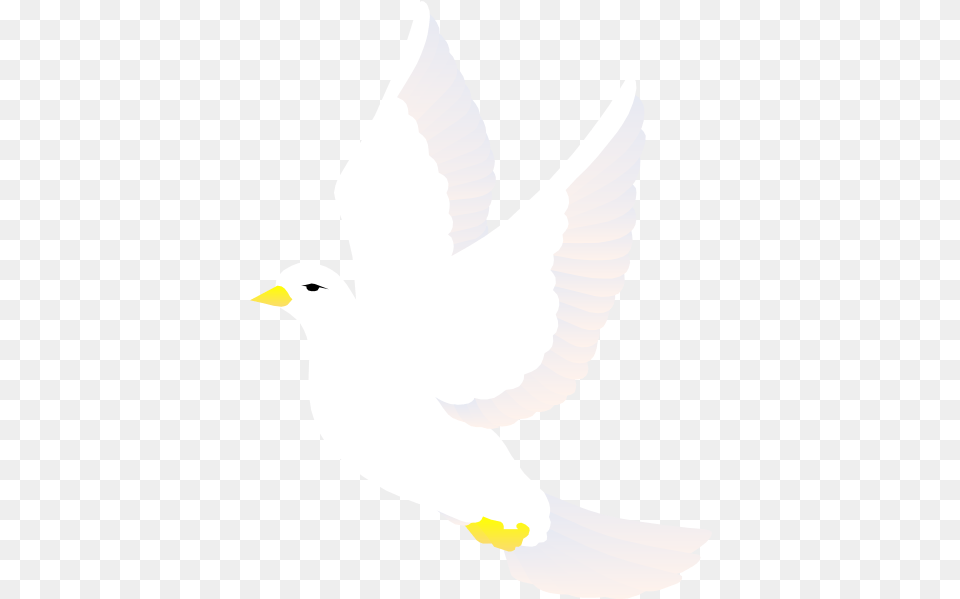 Flying Dove Svg Clip Arts 462 X 598 Px Clipart White Bird, Animal, Pigeon, Person Free Transparent Png