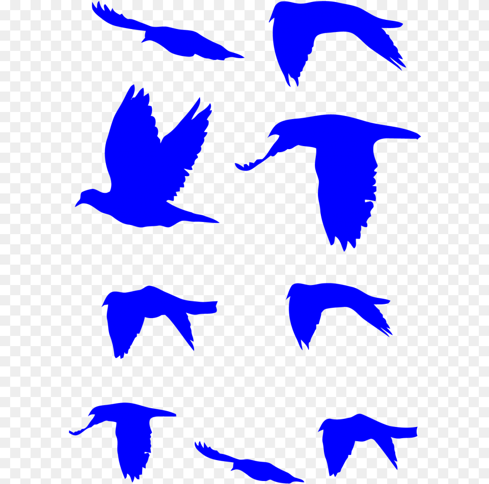 Flying Doves Decal Pack Vogelschwarm Tattoo, Animal, Bird, Person, Flock Png Image