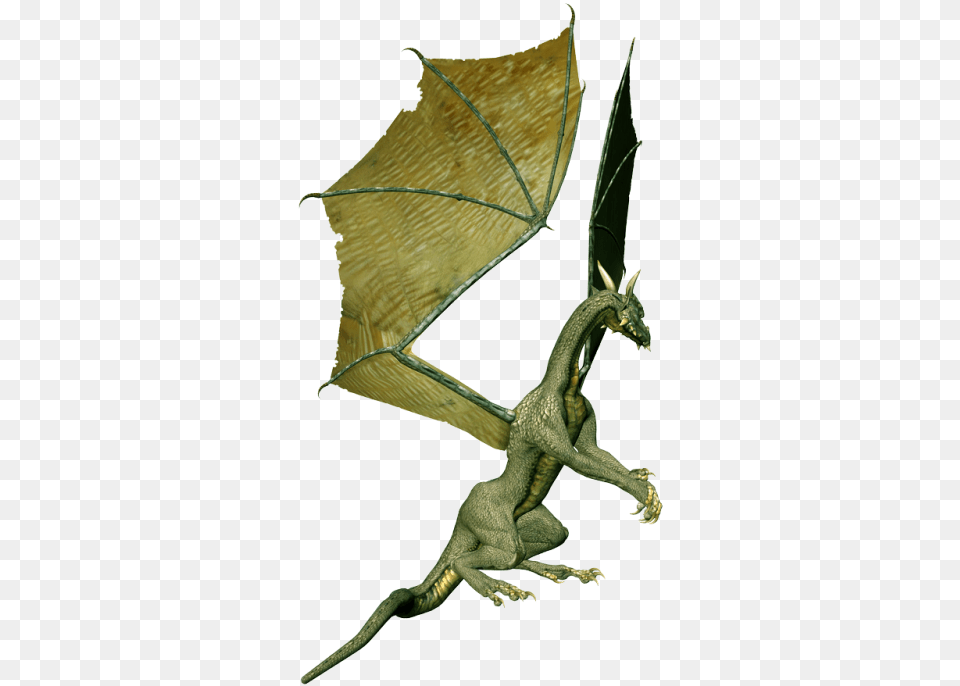 Flying Dragon 3d Art Free Pictures Dragon, Animal, Lizard, Reptile Png Image