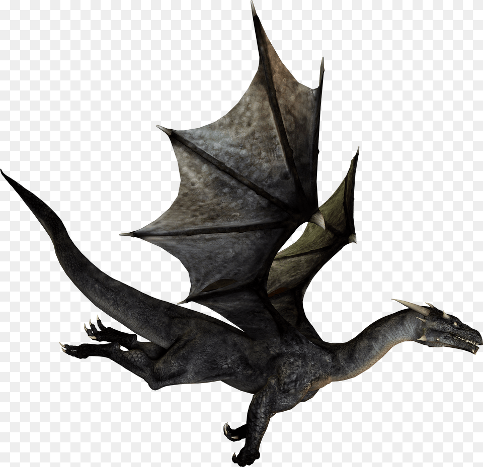 Flying Dragon No Background Coloring A Black Dragon Free Transparent Png