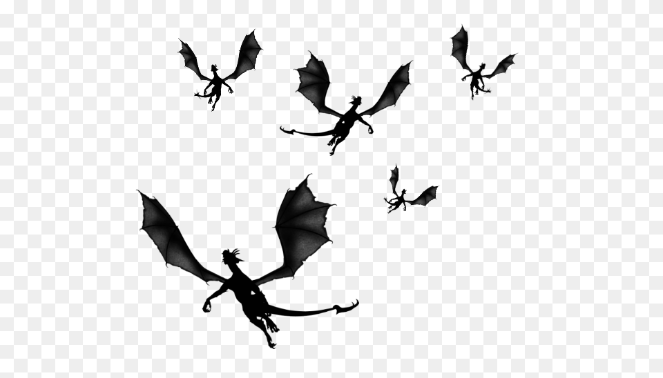 Flying Dragon Pic, Gray Png Image