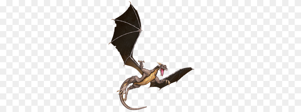 Flying Dragon Transparent Png Image