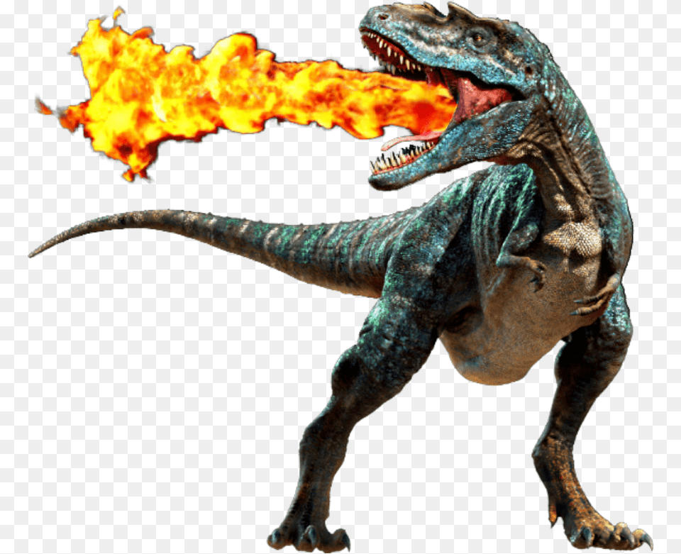 Flying Dragon Transparent Background Dinosaur, Animal, Reptile, T-rex Free Png Download