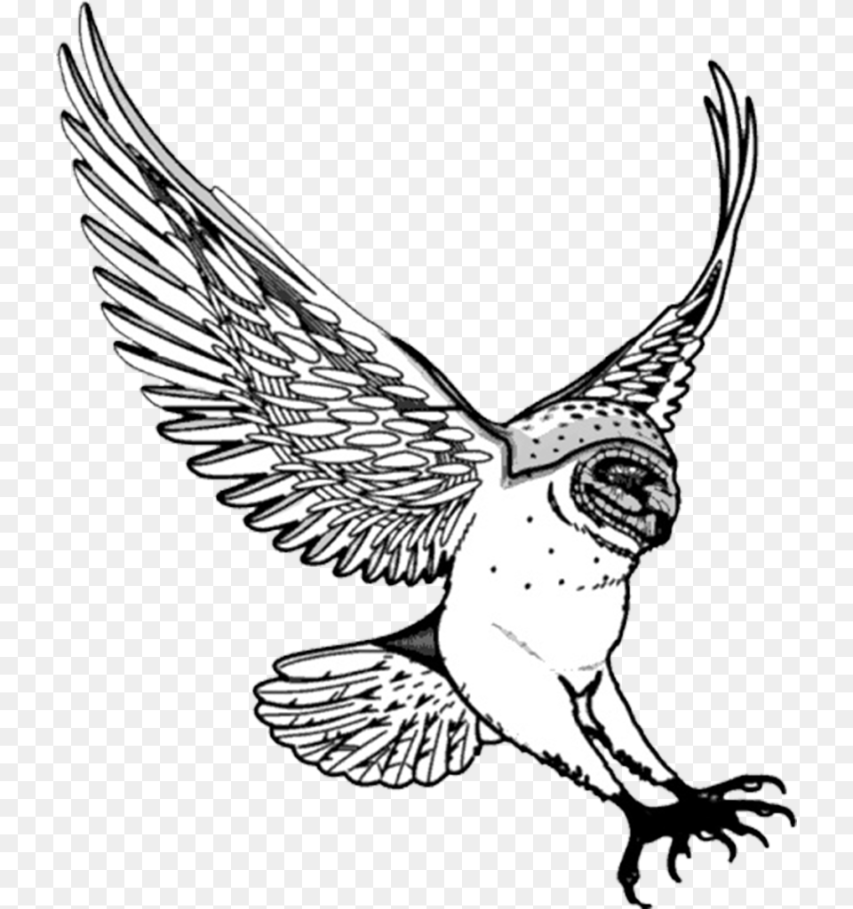 Flying Drawing At Getdrawings Swoop Clipart, Animal, Bird, Art Png