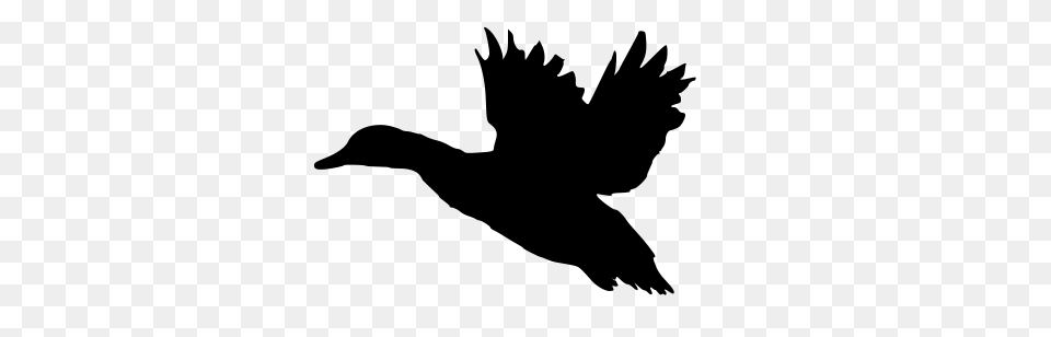 Flying Duck Silhouette, Gray Free Png Download