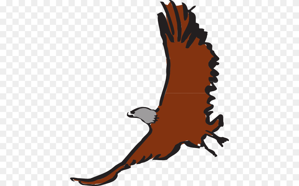 Flying Eagle Art Svg Clip Arts 510 X 598 Px, Animal, Bird, Vulture, Kite Bird Free Png Download