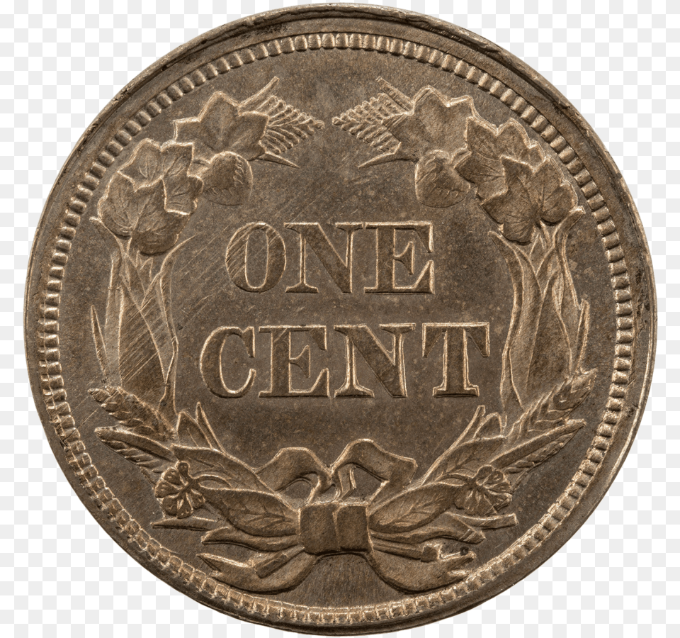 Flying Eagle Cent, Coin, Money, Dime, Plate Free Transparent Png