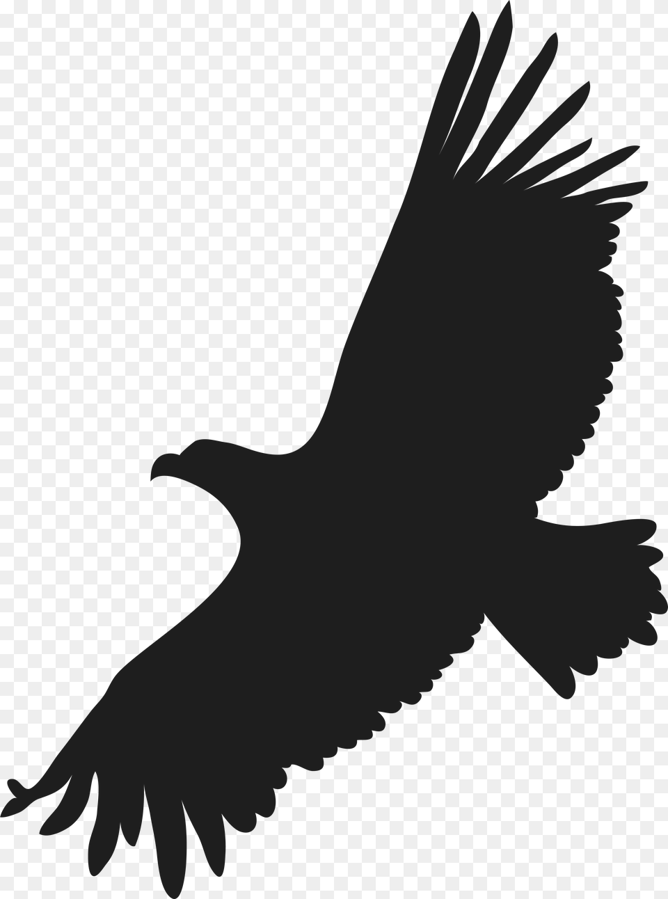 Flying Eagle Clip Art Image Flying Eagle Silhouette, Animal, Bird, Person, Vulture Png
