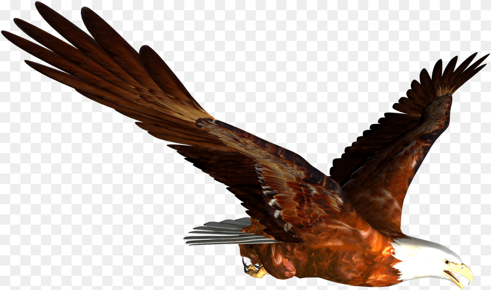 Flying Eagle Image Animated Flying Eagle, Animal, Bird, Vulture, Kite Bird Free Transparent Png