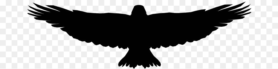 Flying Eagle Image Silhouette Of Eagle Flying, Animal, Bird, Blackbird, Stencil Free Transparent Png