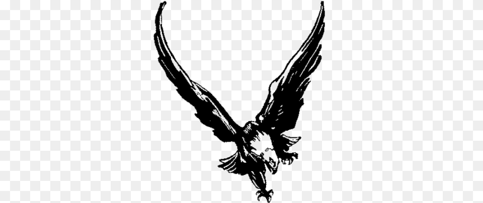 Flying Eagle Logo Golden Eagle, Animal, Bird, Blackbird, Person Png Image