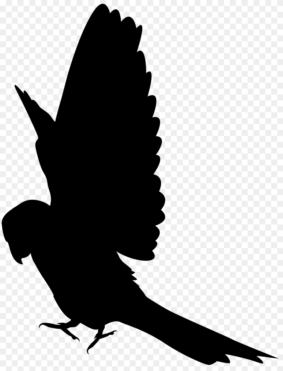 Flying Fairy Silhouette, Animal, Bird, Blackbird, Person Png Image
