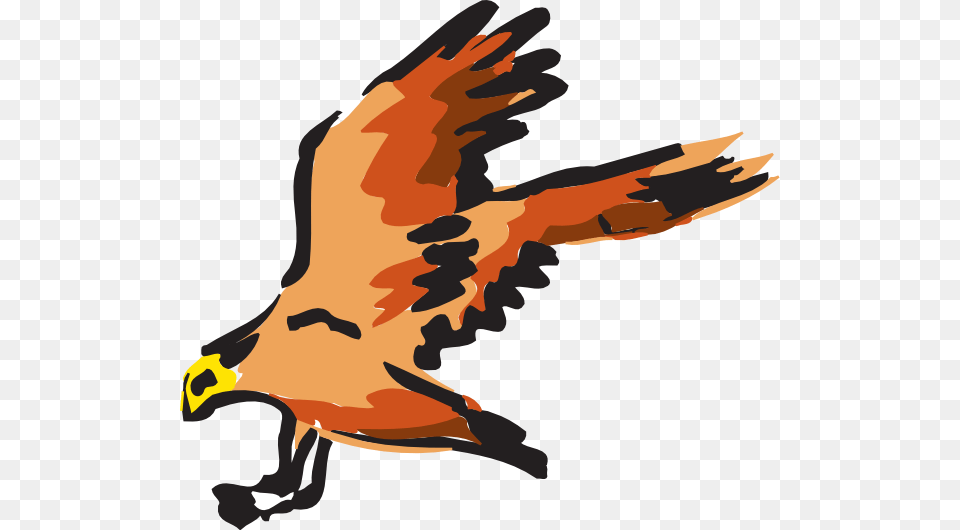 Flying Falcon Clipart, Animal, Beak, Bird, Vulture Free Png Download