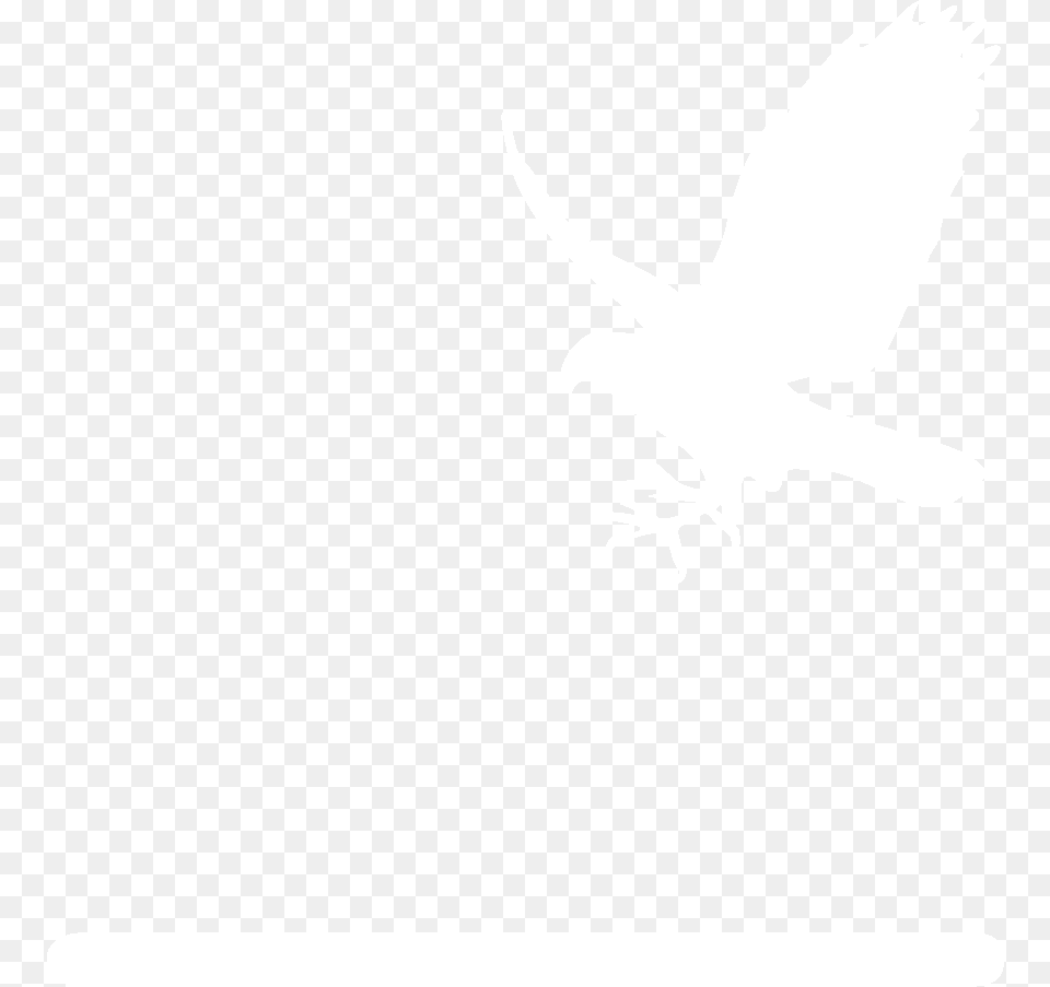 Flying Falcon Outline, Animal, Bird, Stencil, Silhouette Free Png Download