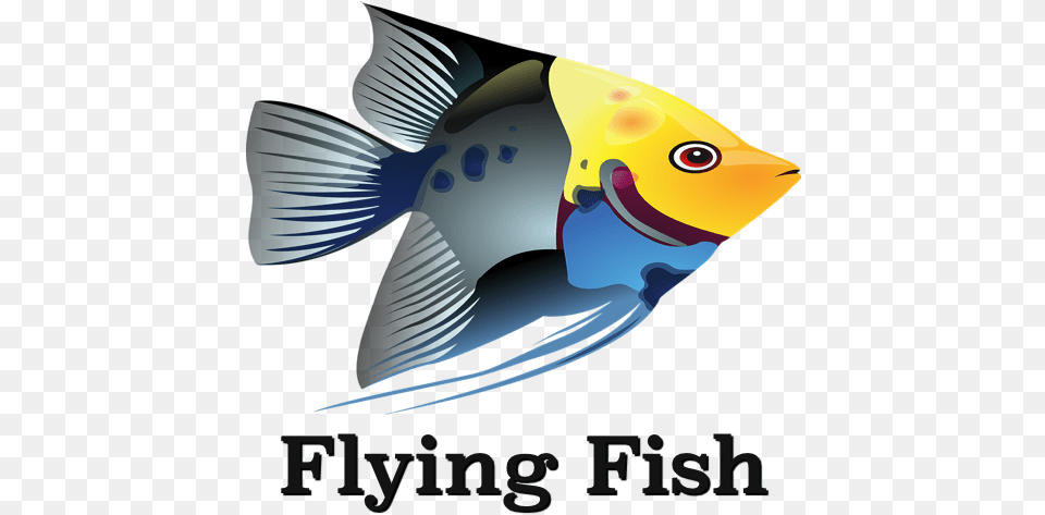 Flying Fish 2019 Game Apps On Google Play Angelfish, Animal, Sea Life, Shark Png Image