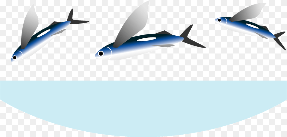 Flying Fish Clipart, Animal, Sea Life, Shark, Herring Png