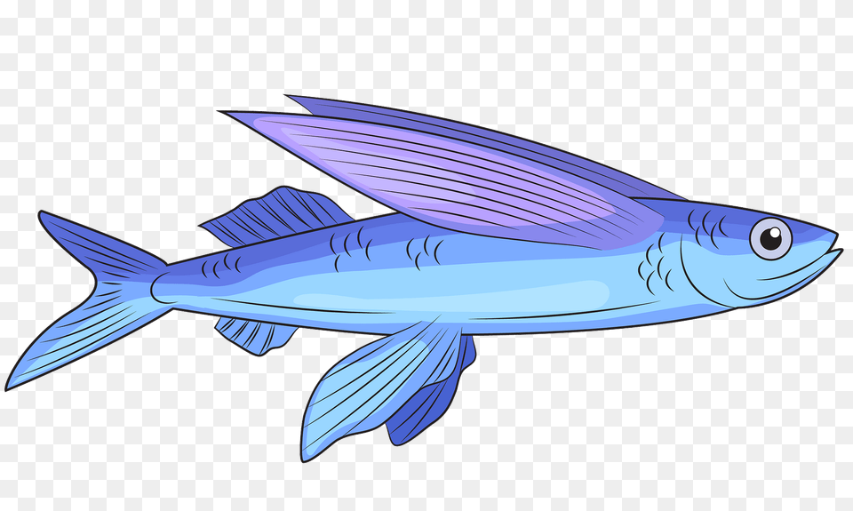 Flying Fish Clipart, Animal, Sea Life, Tuna, Shark Free Png