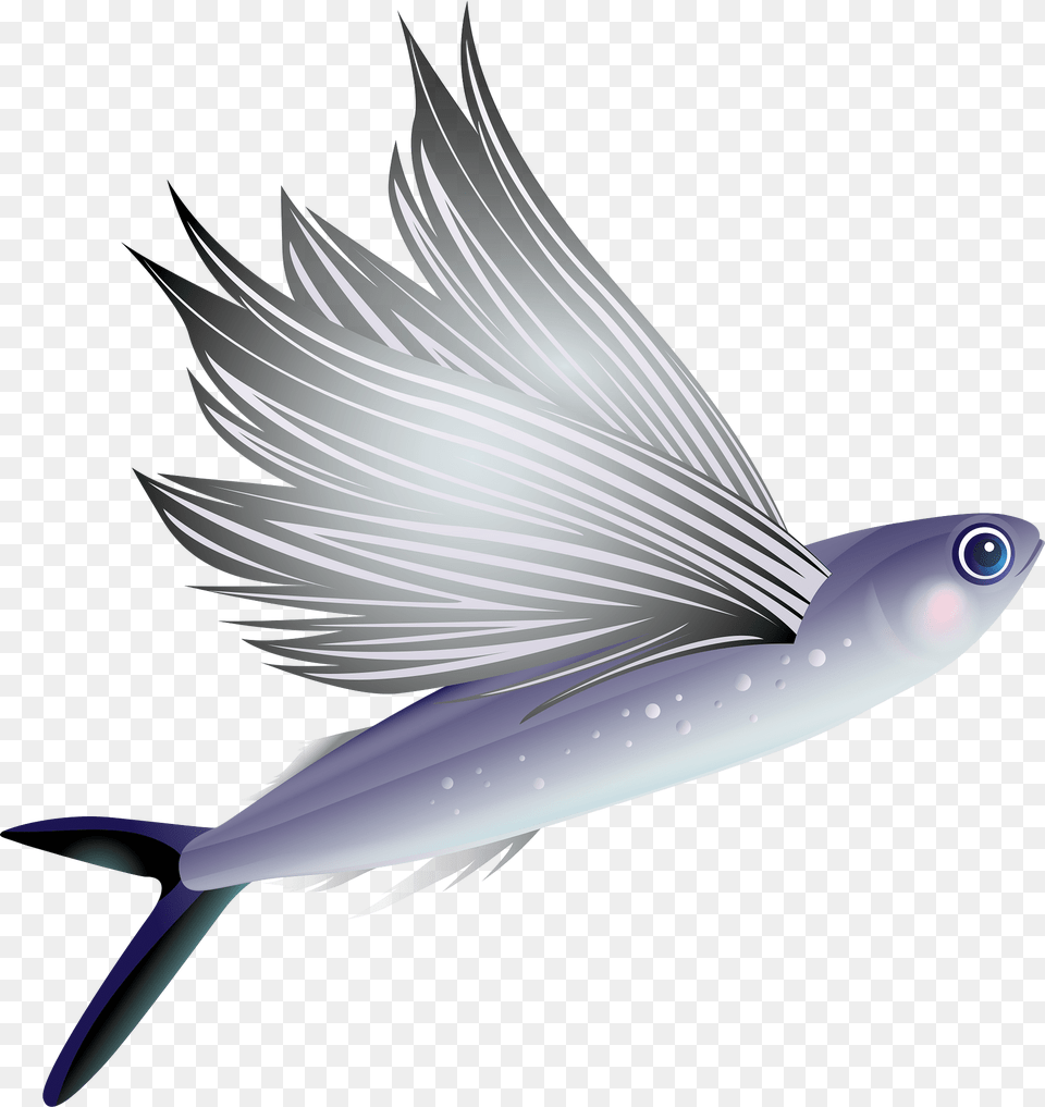 Flying Fish Clipart, Animal, Sea Life, Shark, Herring Png Image