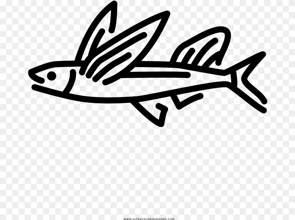 Flying Fish Coloring, Gray Png Image