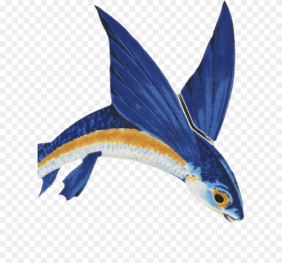 Flying Fish Gif, Animal, Sea Life Png Image