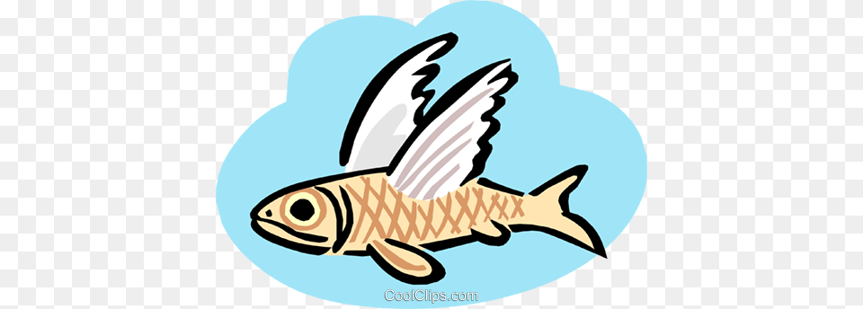 Flying Fish Royalty Vector Clip Art Illustration, Animal, Sea Life, Shark, Carp Png Image
