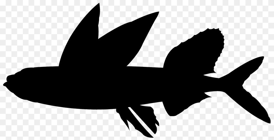 Flying Fish Silhouette, Animal, Sea Life, Shark, Aquatic Free Png Download