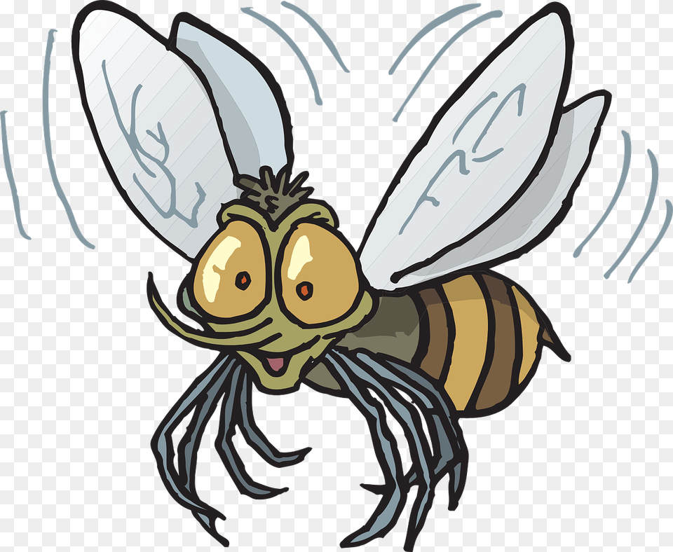 Flying Fly Clipart, Animal, Invertebrate, Insect, Honey Bee Png Image
