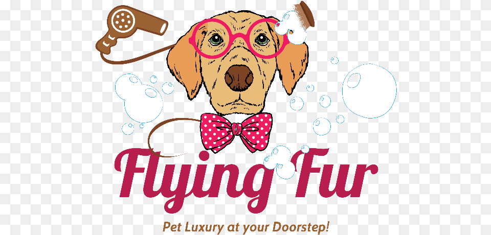 Flying Fur Baby In Flight Cartoon, Accessories, Tie, Formal Wear, Face Png