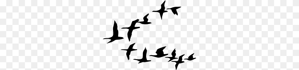 Flying Geese Clip Art, Animal, Bird, Flock Free Png