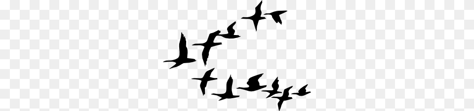 Flying Geese Clip Art, Animal, Bird, Flock Png Image