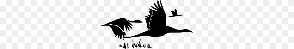 Flying Geese Clip Art With Writing On The Bottom Saying, Animal, Bird, Crane Bird, Waterfowl Free Transparent Png