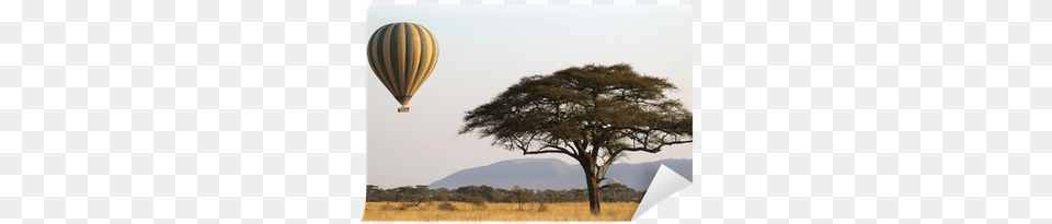 Flying Green And Yellow Balloon Near An Acacia Tree Serengeti, Aircraft, Field, Grassland, Hot Air Balloon Free Png