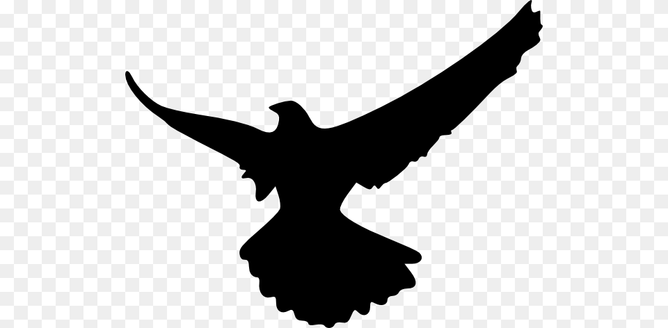 Flying Hawk Clipart Clipart Kid, Silhouette, Animal, Bird, Blackbird Free Transparent Png