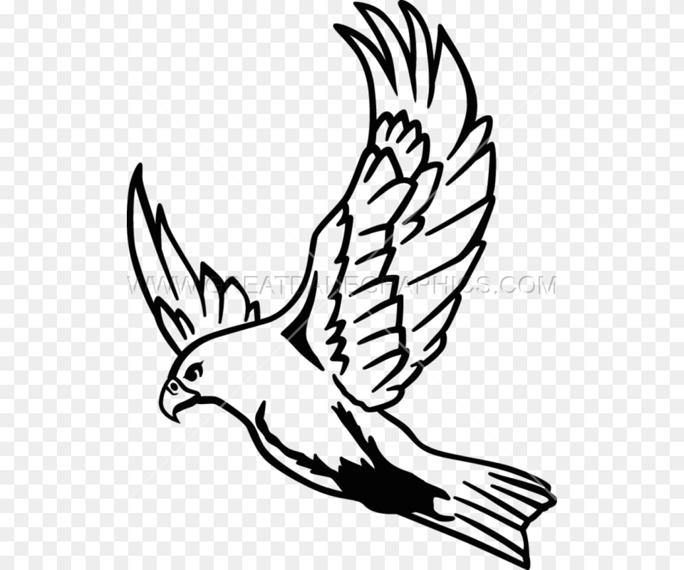 Flying Hawk Drawing At Getdrawings Falcon Drawing, Lighting, Nature, Night, Outdoors Free Png