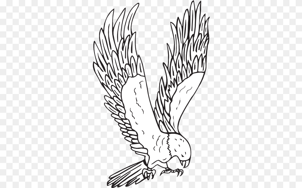 Flying Hawk Kid Image Clipart Hawk Clipart Black And White, Animal, Bird, Person Free Png Download