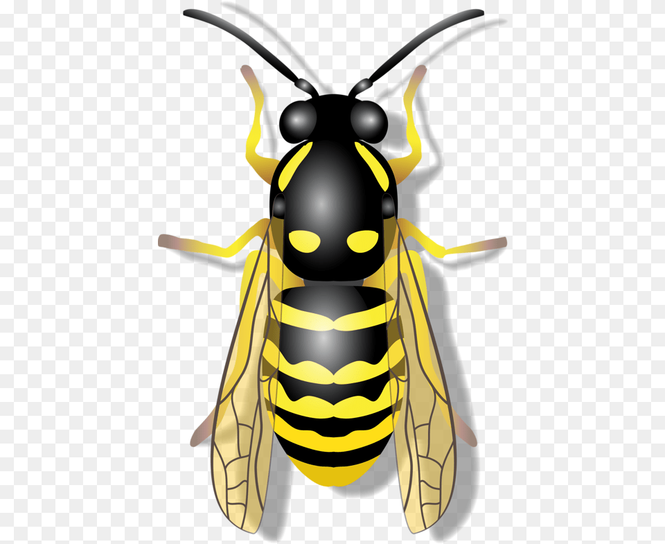 Flying Insects Bugs And Insects Bee Design Bee Decorations Abeille, Animal, Insect, Invertebrate, Wasp Free Png