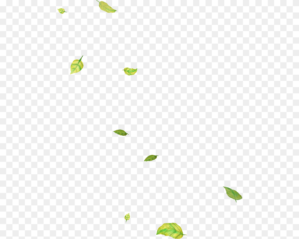 Flying Leaves, Leaf, Plant Png Image