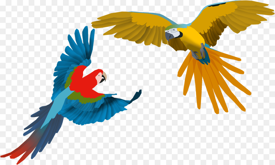 Flying Macaw, Animal, Bird, Parrot Free Png