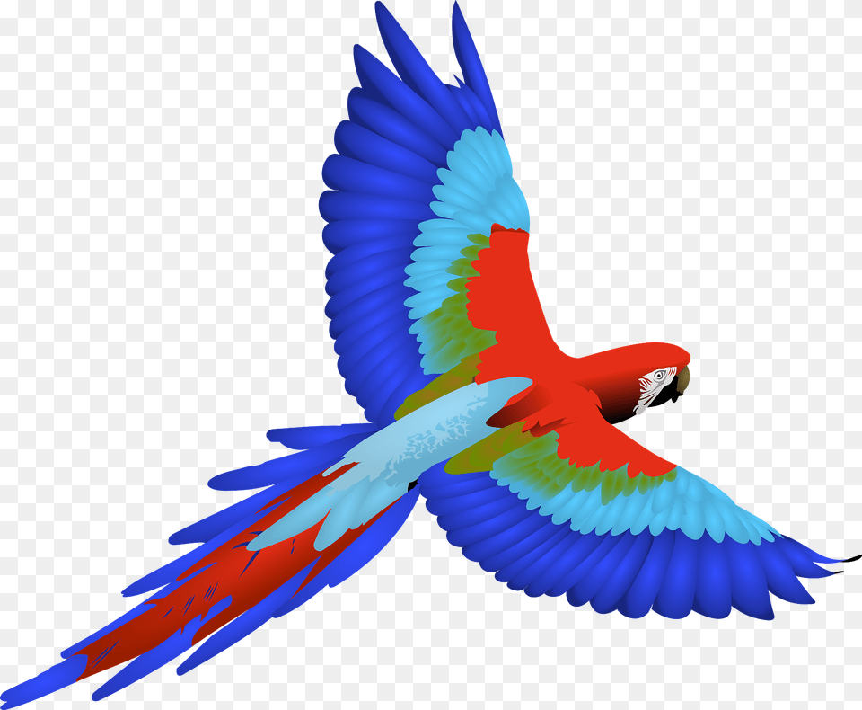 Flying Macaw Clipart, Animal, Bird, Parrot Free Png