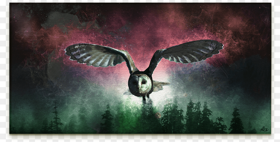 Flying Owl Digital Art On Canvas Barn Owl, Animal, Bird Png Image