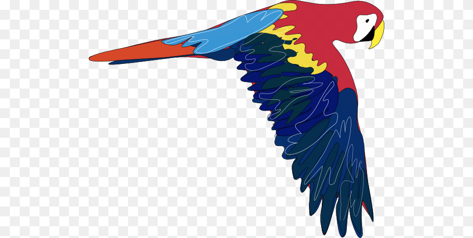 Flying Parrot Clip Art For Web, Animal, Bird, Macaw, Fish Png Image
