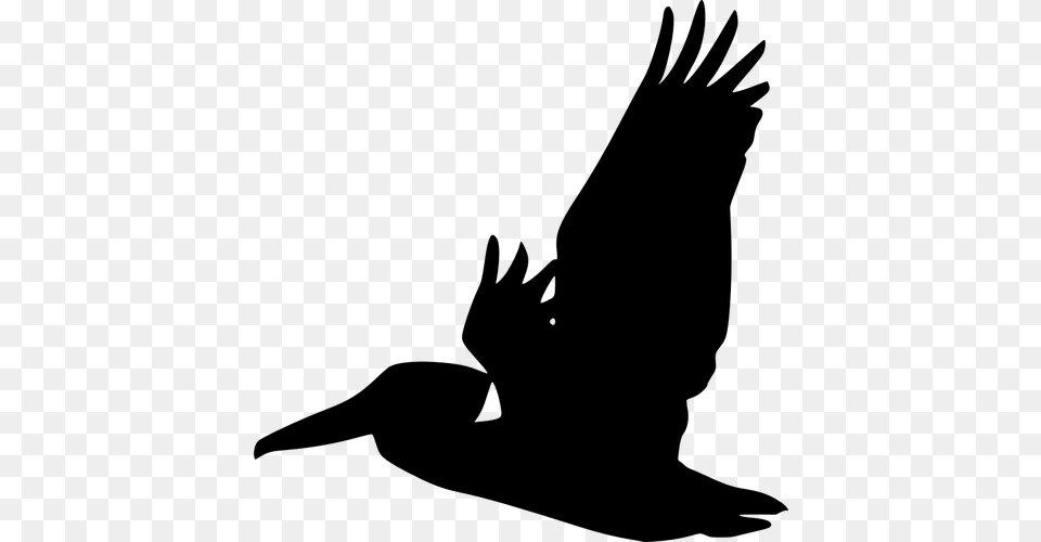 Flying Pelican Clip Art, Gray Png