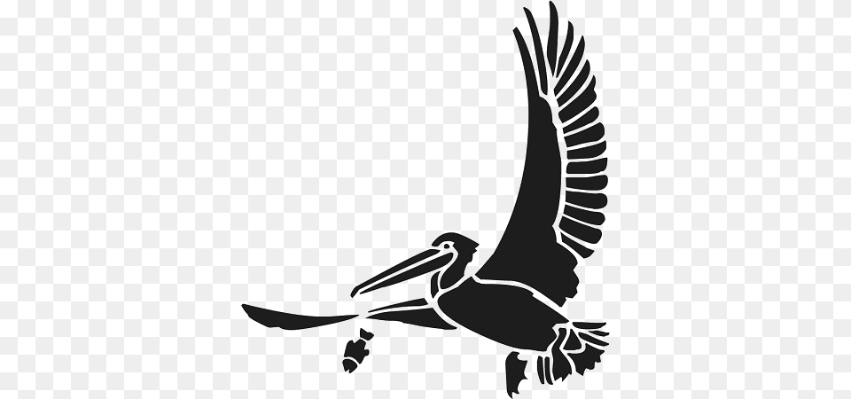 Flying Pelican High Quality Image Arts, Stencil, Animal, Bird, Waterfowl Png