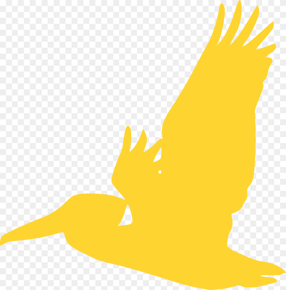 Flying Pelican Silhouette, Animal, Bird, Waterfowl, Fish Png Image