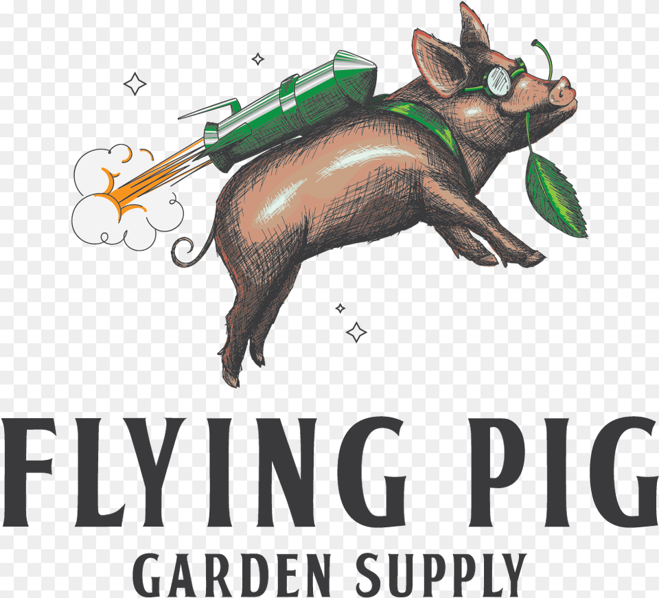 Flying Pig, Animal, Mammal, Hog, Wildlife Free Transparent Png