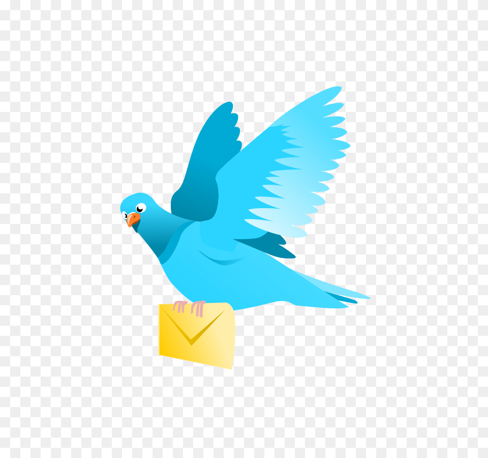 Flying Pig Clip Art, Animal, Bird, Parakeet, Parrot Free Transparent Png